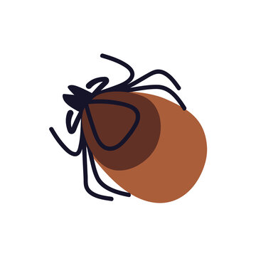 Tick insect, outdoor parasite bug. Bloodsucking mite, encephalitis pest. Bloodsucker icon. Small arachnid, ixodes ricinus, top view. Flat vector illustration isolated on white background