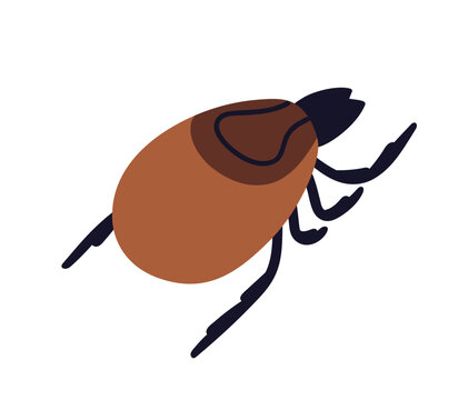 Tick bug. Bloodsucker insect icon. Outdoor mite, parasite. Bloodsucking pest. Small ixodes ricinus, encephalitis carrier, top view. Flat vector illustration isolated on white background