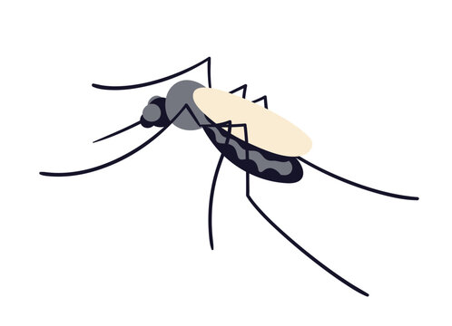 Mosquito with proboscis. Bloodsucking insect, gnat, malaria and dengue fever carrier. Bloodsucker bug with sting. Blood-sucking pest. Flat vector illustration isolated on white background