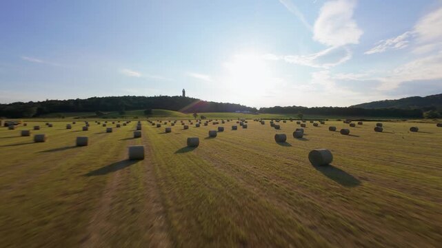 FPV drone skims low over a golden field of hay bales near William Wallace Monument in Stirling, racing forward under a clear sky.