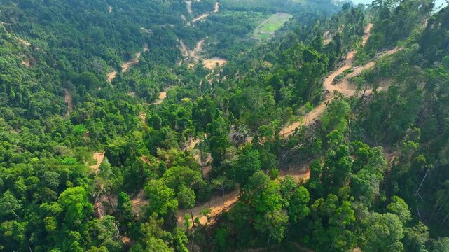 Aerial drone view of partially deforested hillside with remaining forest above, showing illegal logging impact, land degradation, and its contribution to climate change and global warming. 4k.
