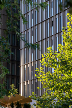 Modern architecture facade with vertical greenery and vines adding texture and contrast as geometry pattern forms an abstract background