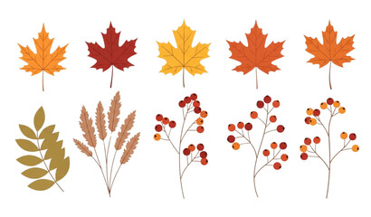 Flat autumn leaf and berry vector set minimal fall seasonal collection © Crafts Home
