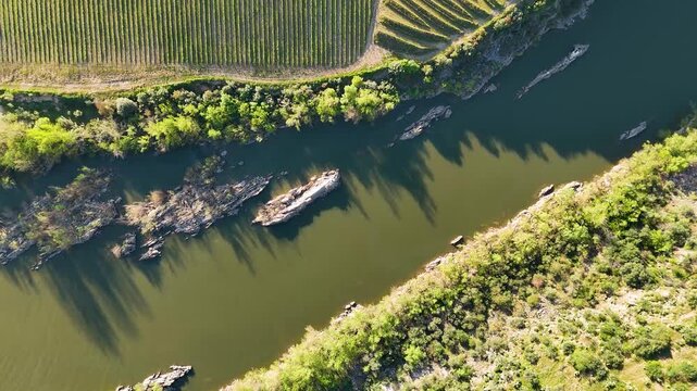 Aerial top down view of river and vineyard terraces