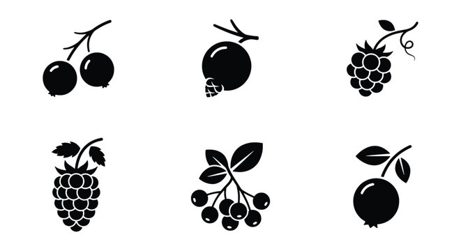 Minimalist berry icon set, black silhouette fruit symbols, collection of 6 vector berry illustrations, organic food graphics for packaging
