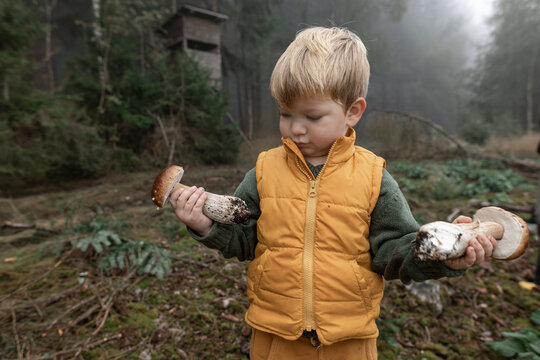 Child foraging wild mushrooms in autumn forest raising ecological awareness