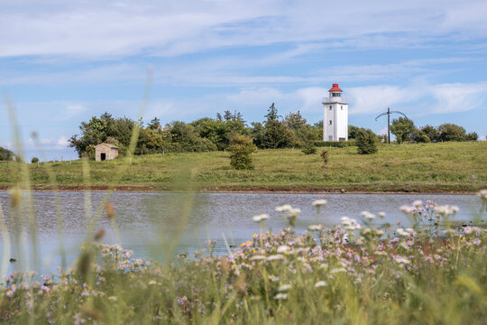 Lighthouse Knudshoved Fyr near water and wildflowers in Nyborg, Denmark