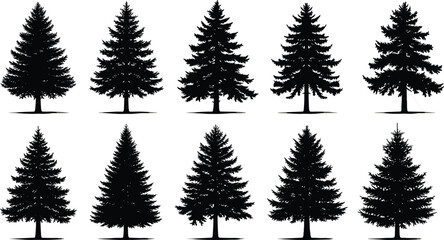 Fototapeta premium Black spruce pine tree silhouette set isolated on white background for Christmas winter nature forest landscape graphic design vector illustration