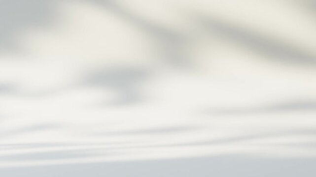 Soft shadows from foliage moving over white wall in seamless loop calm background.