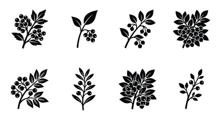 Black silhouette berry branches set, botanical leaf and fruit vector icons, 8 organic floral elements for logo design and packaging © Md