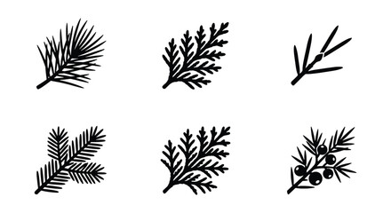Vintage evergreen branch icons, set of 6 conifer leaf silhouettes, black pine and spruce twig vector illustrations for winter holiday design © Juman