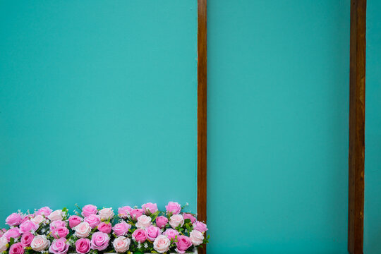 Colorful flower blooming in the jar in front of the green vintage wall background