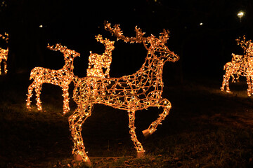 Light display of reindeer decorations in a park during the holiday season at night © ir1ska