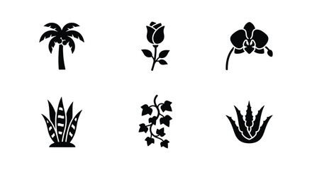 Obraz premium Minimalist plant icon set with 6 black vector elements, botanical silhouettes of palm tree, rose, orchid, snake plant, ivy, and aloe vera