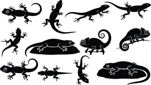 Lizard and Chameleon Vector Icon Set Featuring Silhouettes of Geckos, Lizards, and Reptiles in Various Poses for Wildlife, Nature, and Animal Illustrations