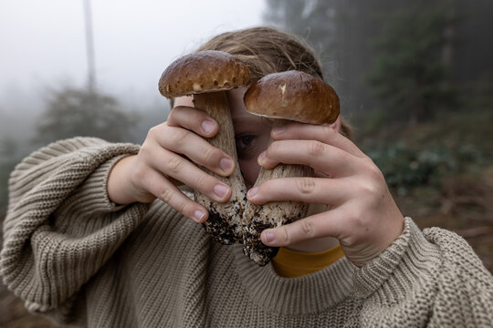 Person foraging wild porcini mushrooms in misty autumn forest