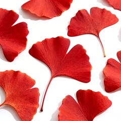 Fototapeta premium Red Ginkgo Leaves Scattered on White Background
