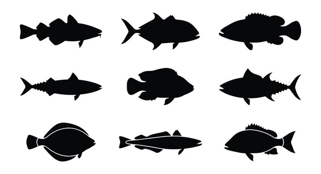 Black fish silhouettes collection, set of 9 sea fish vector icons, saltwater and freshwater fish species shapes for fishing and seafood logos