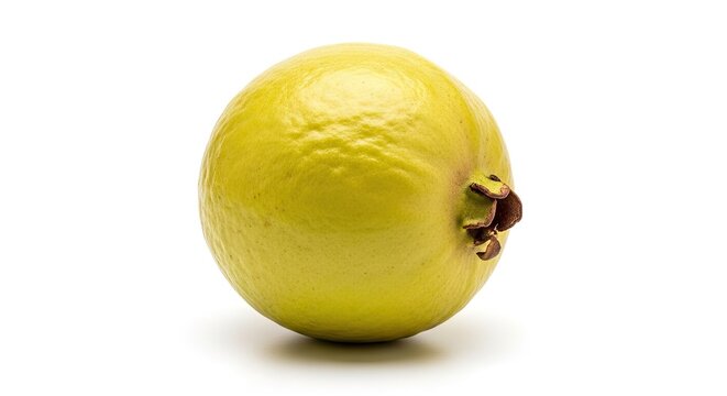 Fresh yellow guava fruit isolated on white background copy space
