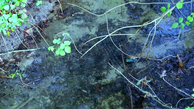 Rippling stream in the ditch with water in all directions.