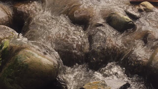 A detailed close-up of a natural mountain stream flowing over wet rocks. Clear water rushing through a rocky creek with bubbling foam and splashing currents in a serene forest setting