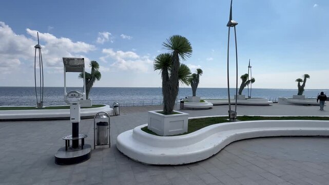 palm trees on the beach