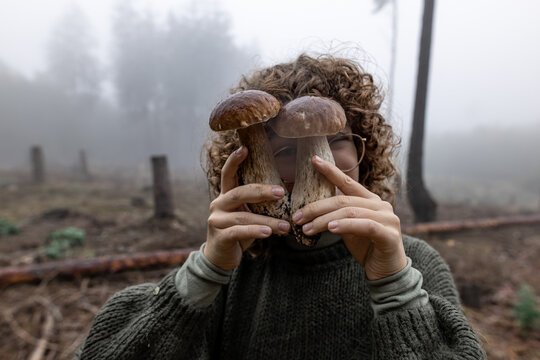 Person foraging mushrooms in foggy autumn forest with ecological values
