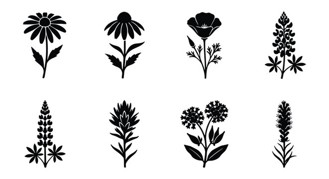 Minimalist wildflower silhouette icons, set of 8 botanical floral elements, black garden flower vector graphics for branding and logo design