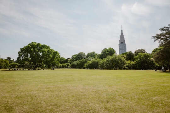 Shinjuku Gyoen National Garden, green empty lawn surrounded by lush greenery and trees with view on the building exterior of the NTT Docomo Yoyogi Building outdoor during spring in Tokyo in Japan.
