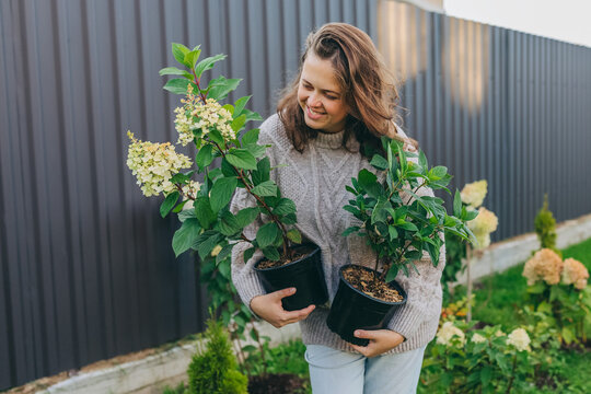 Smiling adult holding potted hydrangea plants in backyard garden