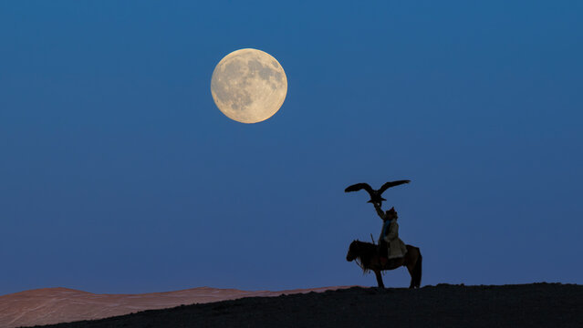 Eagle hunter on horseback with golden eagle under full moon in Altai Mongolia