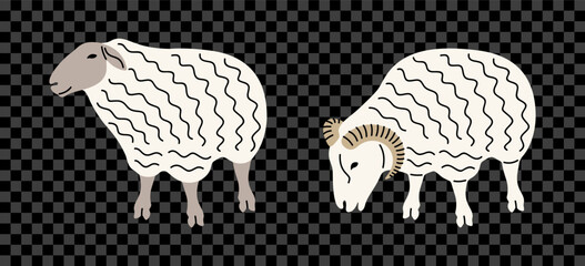 Sheep, ram, ewe and lamb, graphic design. Livestock, icelandic sheep, animal, agriculture and farming, vector design and illustration © artsterdam