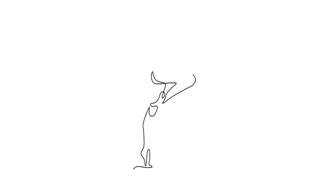 Animated self drawing of continuous line draw of   young beauty dancer woman exercise. Choreographic move concept   Full length one line animation. 4K