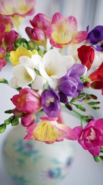 Close up of vibrant freesia flowers in pink, yellow, and white with soft blurred background