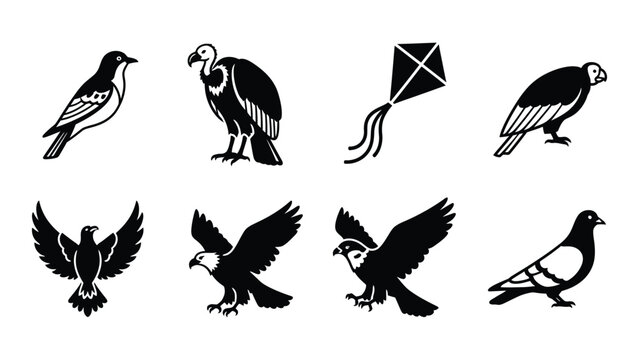 A collection of black and white avian icons including vultures eagles and pigeons alongside a simple kite illustration high quality professional