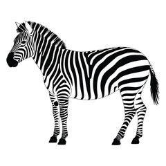Obraz premium A striking black and white illustration of a zebra standing in profile a bold silhouette