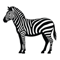 Obraz premium A striking black and white zebra stands prominently against a neutral background silhouette
