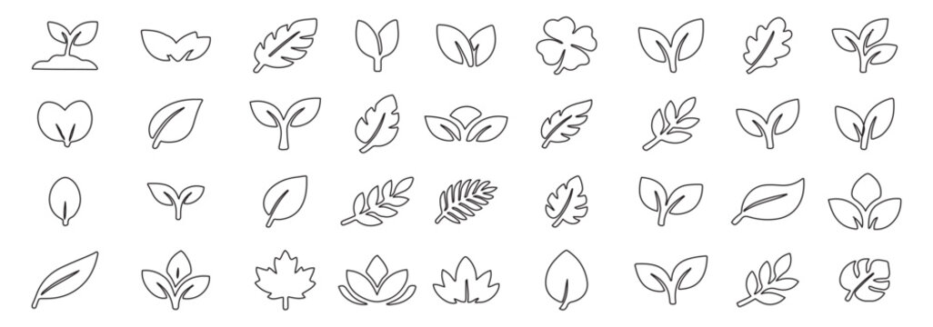 Leaf and Foliage Outline Icon Set &ndash; Nature Plant Leaves, Tropical, Maple, Oak, Fern, Monstera Thin Line Vector Icons for Ecology, Organic, App UI UX Web Design. 