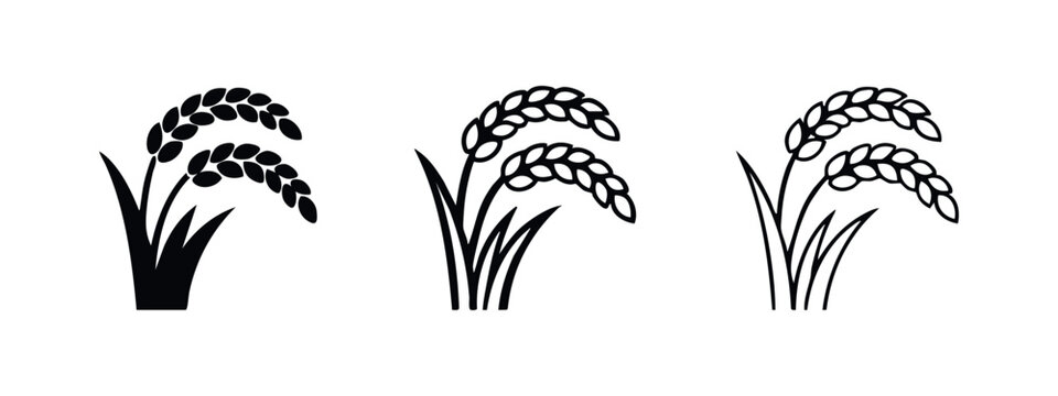 Rice stalk icon set, filled and outlined, for agriculture or grain