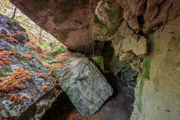 Zrujnowany bunkier w Wilczym Szańcu, kompleks bunkrów Hitlera podczas II wojny światowej w Gierłoży, Polska © Janusz Lipiński