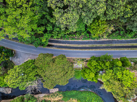Aerial view shows winding road through lush green forest. Stream curves alongside the asphalt, bordered by foliage. Trees tower above, their leaves vibrant and full. Scene radiates peace, quiet