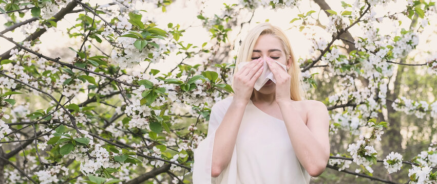 attractive young woman blows nose into napkin and throws it away in blooming garden. Seasonal allergies to pollen. Allergy treatment and ability to breathe freely. pollen allergy banner copy space
