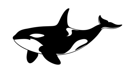 Orca Whale Silhouette, Killer Whale Illustration, Marine Mammal © Dio