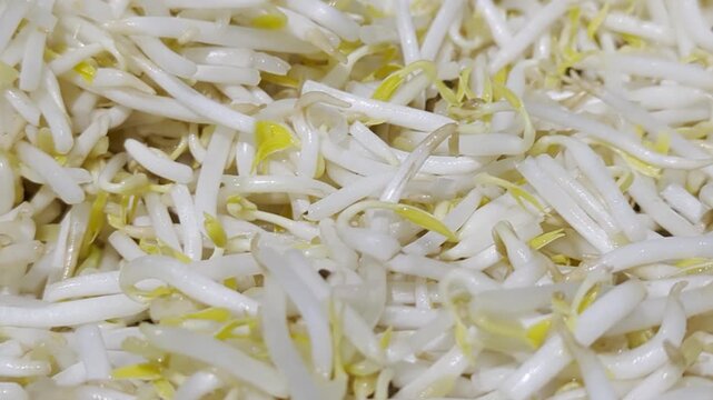 Close-up of fresh raw mung bean sprouts in a heap, healthy organic vegetable ingredients for Asian cuisine.