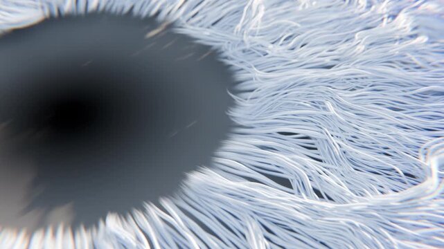 3D Fiber Iris Macro animation