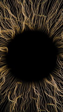 3D Fiber Iris Macro animation