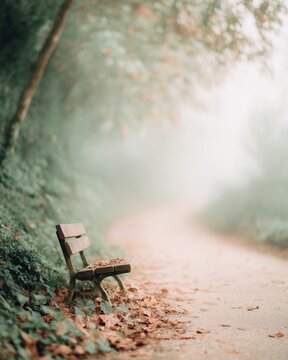 Wooden bench covered with autumn leaves alongside a winding path disappearing into mist in park. Fall season scene with soft light and foliage