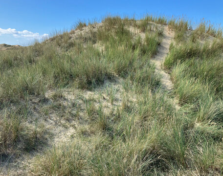 hohe D&uuml;nen sind zu &uuml;berqueren, wenn man ans Meer will