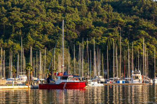 Red fireboat moored in Croatian marina surrounded by sailboat masts, calm water reflections, pine forest hillside. Adriatic harbor scene with nautical atmosphere, summer travel destination europe