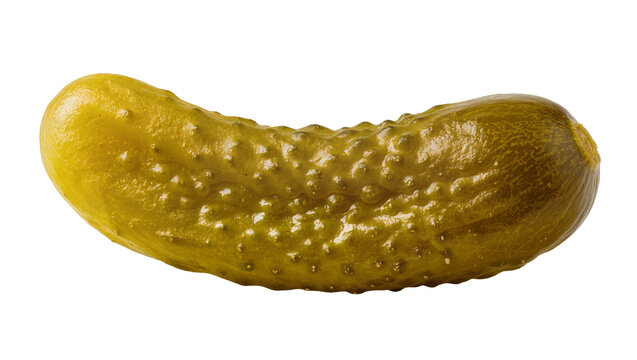 Green pickled cucumber with bumpy texture and dill sprig